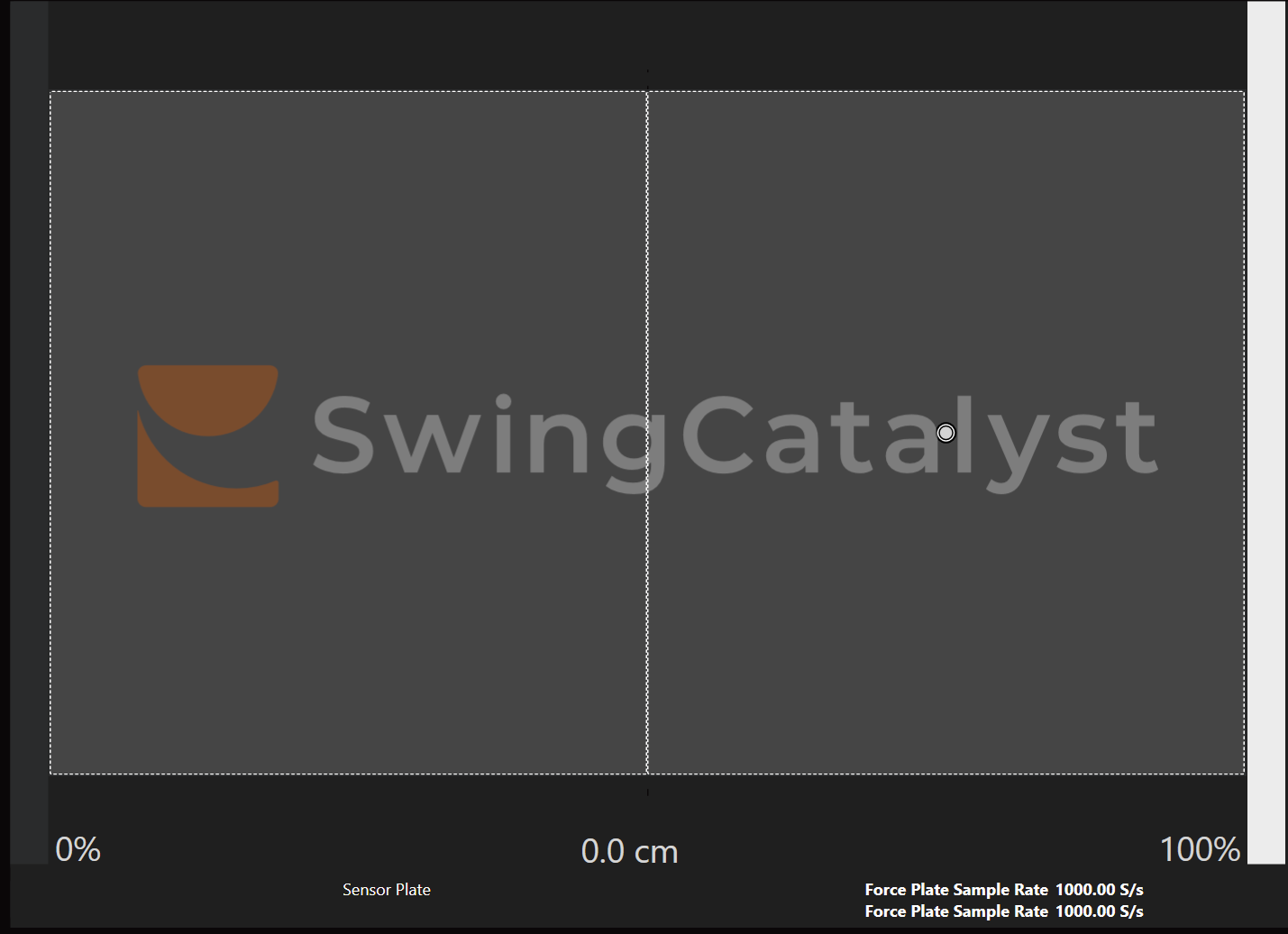 Live preview showing Center of Pressure
